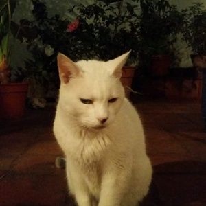 Meet your Posher, Jackelyn